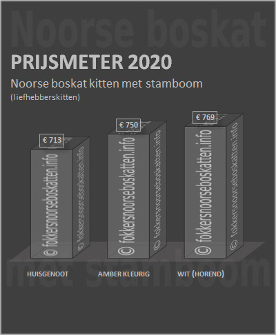 Gemiddelde prijs Noorse boskat kitten met stamboom