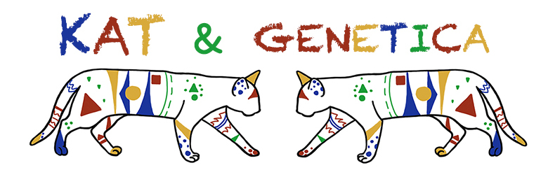 de banner van Kat & Genetica met getekende kat met een kleurig patroon van vierkanten, driehoeken en rondjes