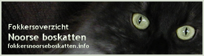 banner fokkersnoorseboskatten.info