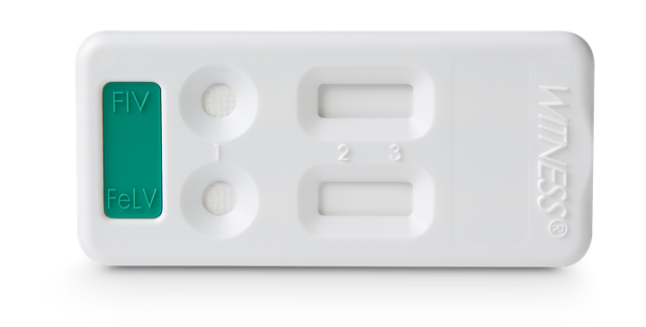 Witness FeLV/FIV test