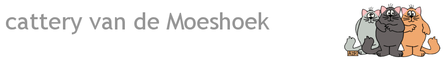 Een cartoon van 3 verschillend gekleurde katten met de tekst 'Cattery van de Moeshoek'